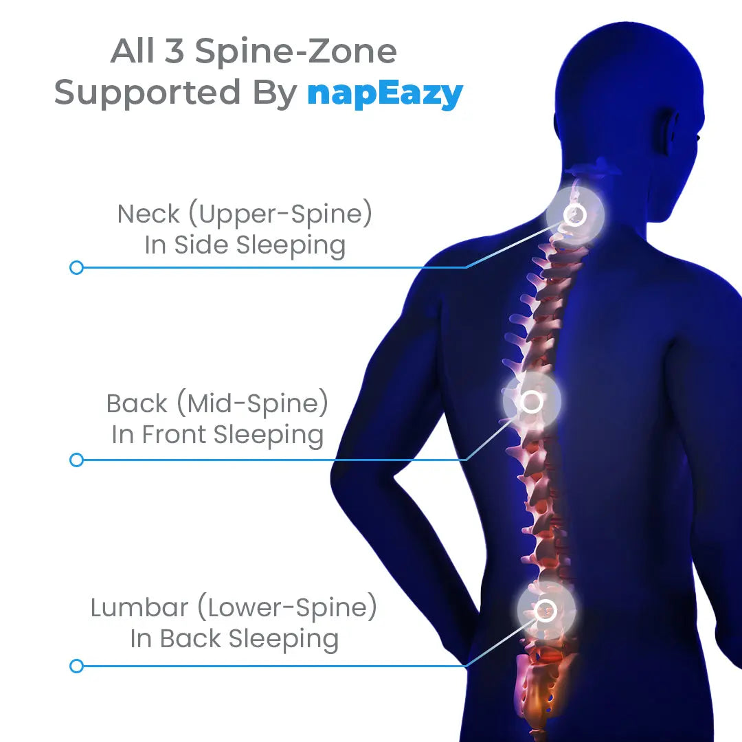 napEazy comfort pillow supports all the 3 spine zones of your body 
